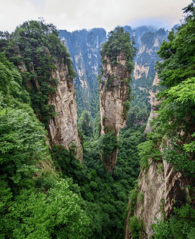 家界五天四晚详细介绍与游玩建议张家界旅游有哪些必去景点?张(图3) 家界五天四晚详细介绍与游玩建议张家界旅游有哪些必去景点?张(图3)